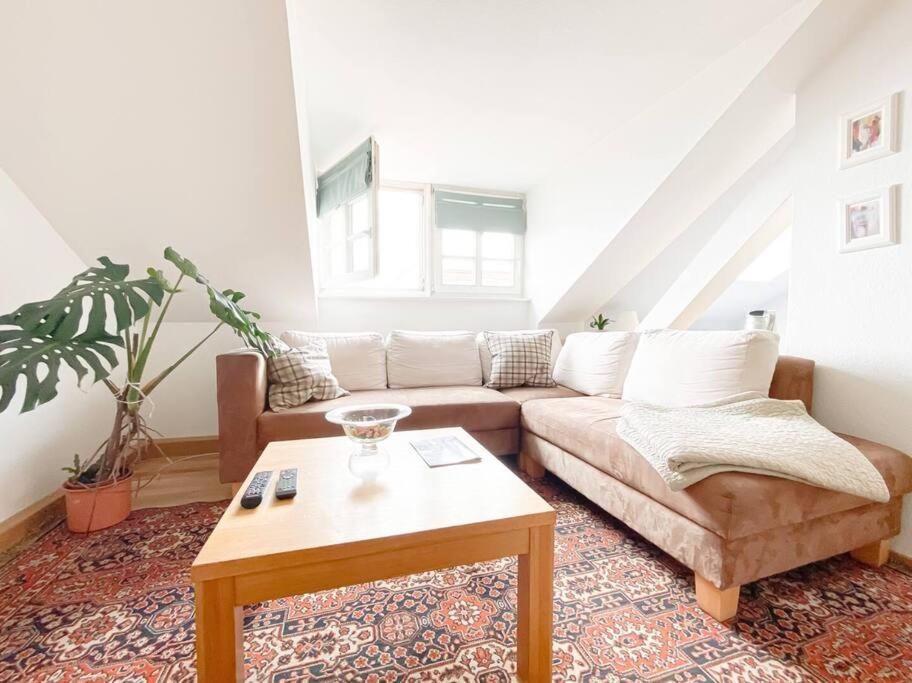 Schoene Ferienwohnung Mit Blick Ueber Stadtwald Lipcse Kültér fotó